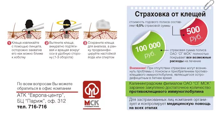 Оформить страховку от клеща. Страхование от клещей. страховка от клеща. антиклещ страховка. застраховаться от клеща.