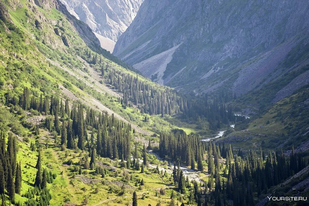 Парк ала арча