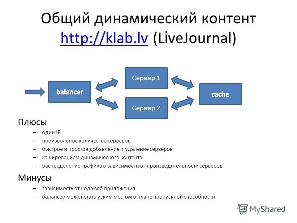 Основной контент сайта. Динамический контент. Виды контента на сайте.