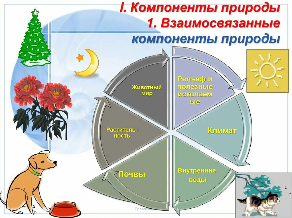 Взаимо связано. Компоненты природы. В природе все взаимосвязано доклад. Рассказ о взаимосвязях в природе. Доклад на тему в природе всё взаимосвязано.