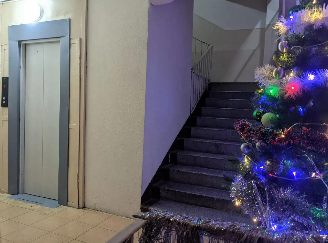 елка починок