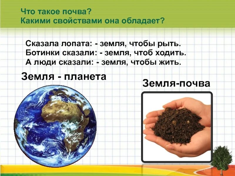 Окружающий мир тема что такое почва. Почва презентация. состав почвы презентация. презентация по теме почва. окружающий мир свойства почвы.