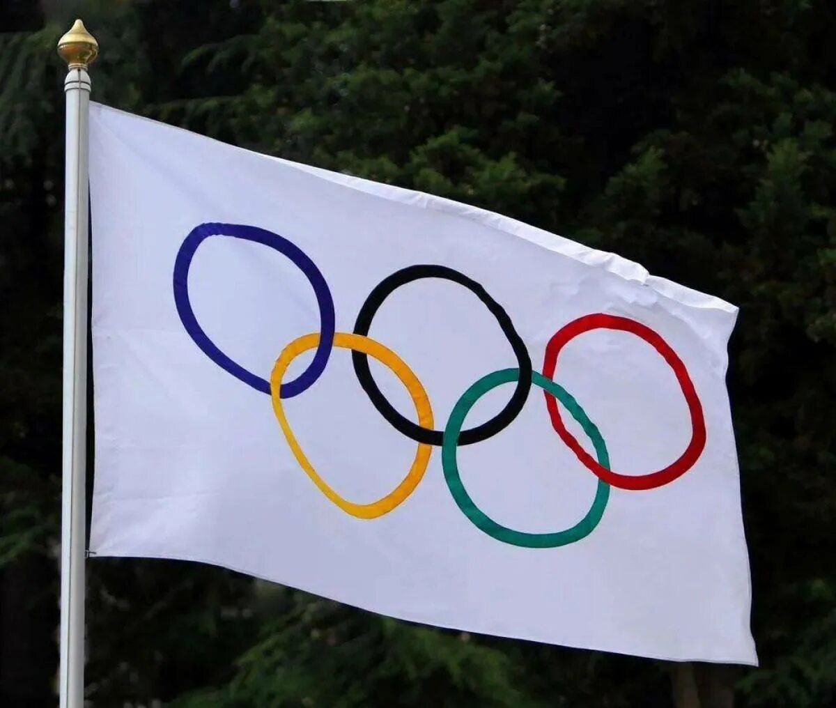 Флаг российского олимпийского. Олимпийский флаг. Флаг международного олимпийского комитета. Олимпийский флаг Олимпийский флаг. Флаг олимпийского комитета РФ.