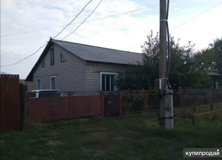 Кулунда продаю