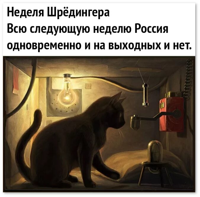 Кот Шрёдингера. Неделя Шредингера. Кот Шредингера эксперимент. Выходные Шредингера. Юмор шредингера вконтакте