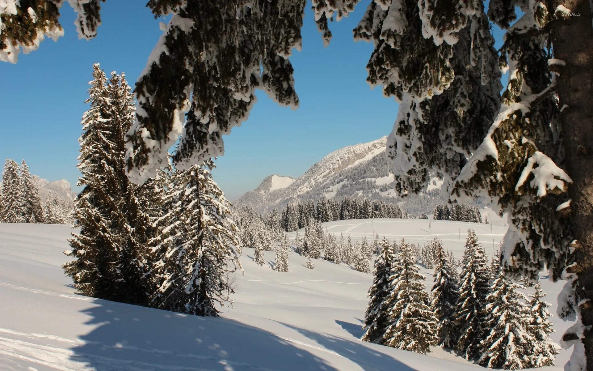 Over snow