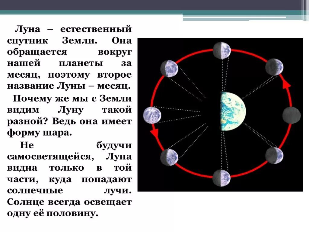 Почему луна половина