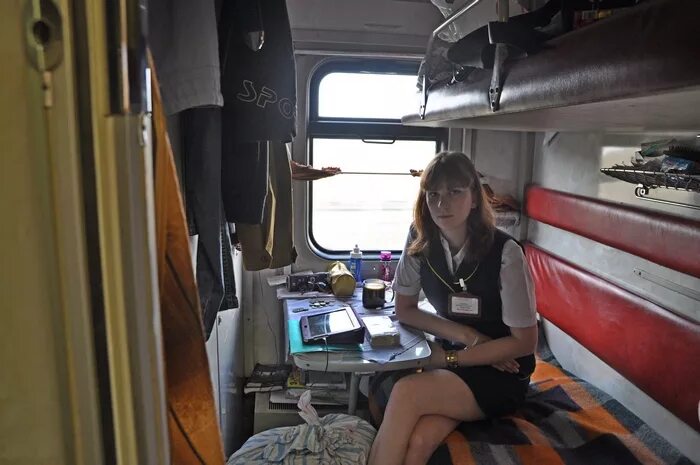 что будет с проводницей которая выбросила кота