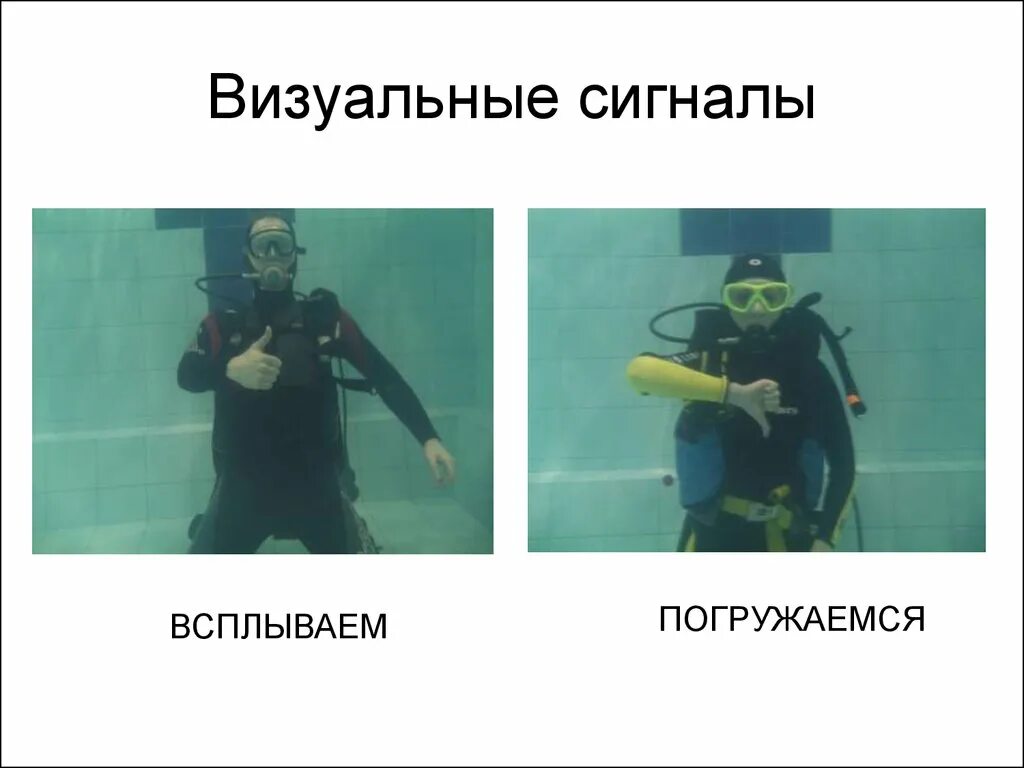 Визуальные сигналы. Визуальные водолазные сигналы. сигналы водолазов жестами. визуальные сигналы дайверов. сигналы к водолазу и от водолаза.