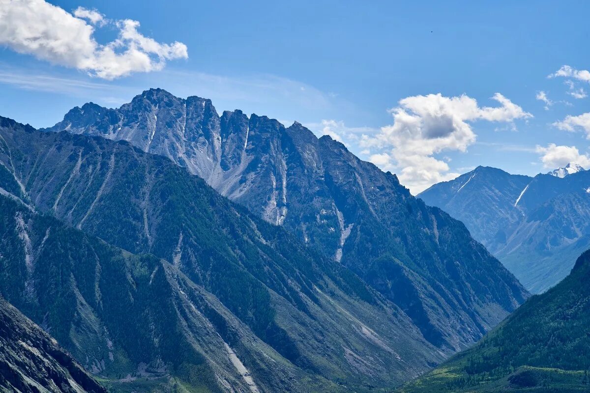 Абсолютная высота алтайских гор. Северный хребет Алтай. Золотые горы Алтая. Чёрные горы Алтайские. Алтайские горы Китай.