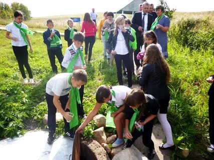 Погода зубочистка первая на 10 дней