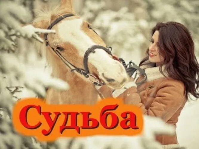 Хуснутдинов песни судьба. ПЕСНЯСУД баэдардхуснутдинов.