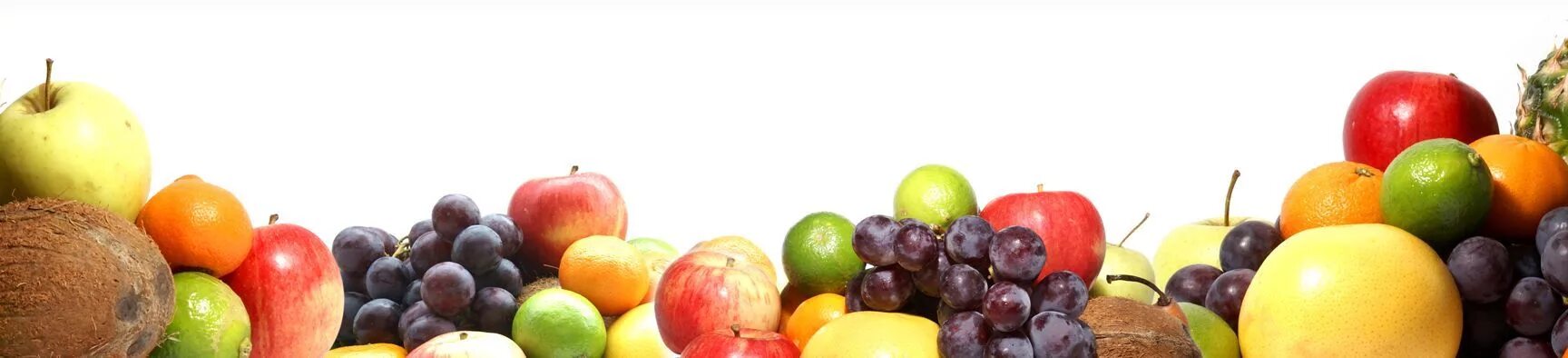 Овощи вектор. Фрукты полоса. Линия фруктов. Переработка овощей и фруктов. Линия из фруктов.