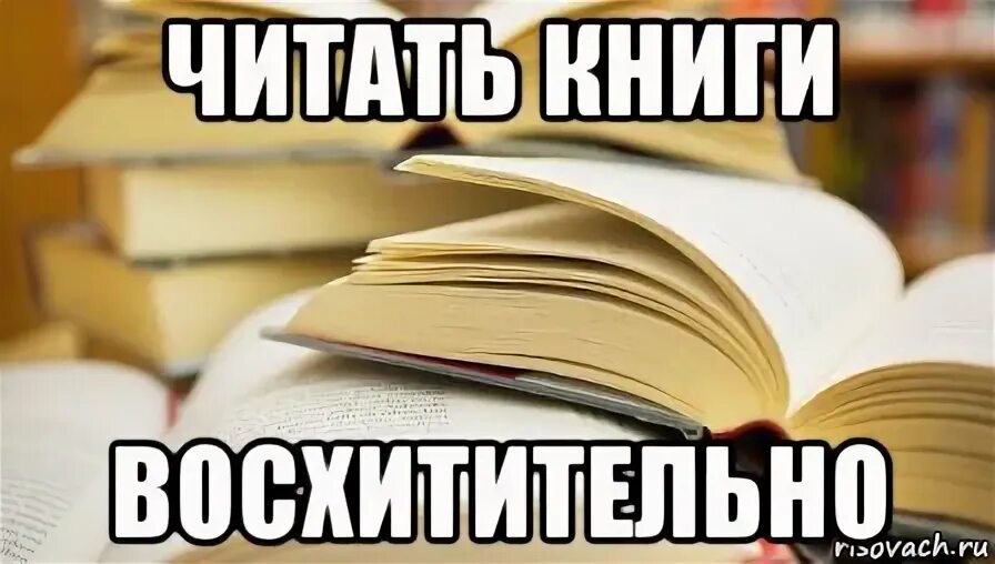 Мемы про книги. Книга Мем. Читает книгу Мем. Мем про чтение книг.