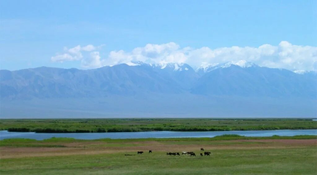 Озеро Хара Нур Бурятия. Даян нуур Монголия озеро. Озеро хар нуур Монголия. Озеро Хара Нур Монголия. Котловина больших озер