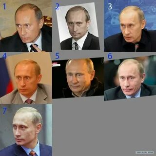 Много путиных