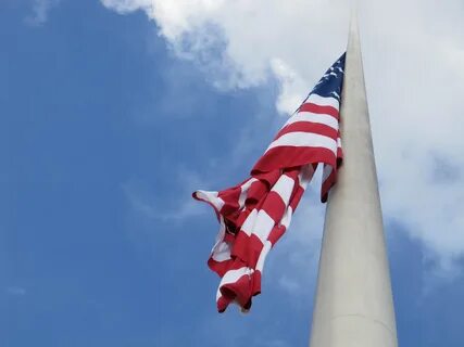Large america