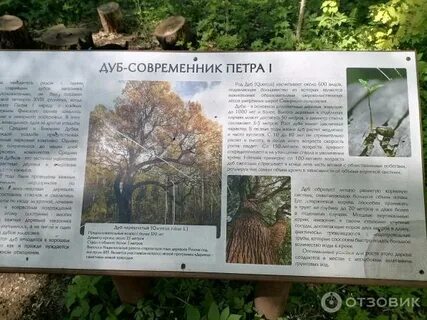Экотропа лисий нос