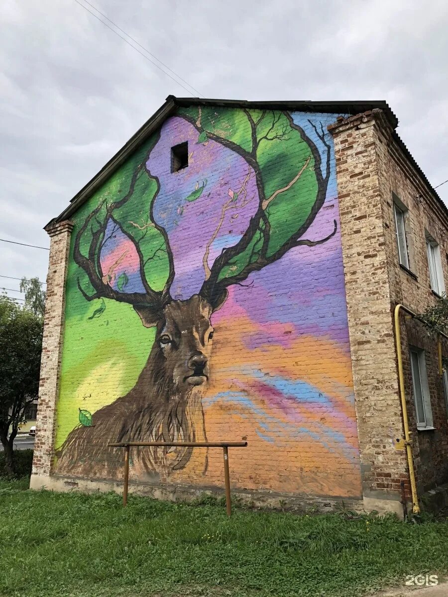 Граффити в нижнем новгороде. Граффити с оленем нижний новгород. Стрит арт в россии. Нижний новгород street art. Стрит арт место нижний новгород.