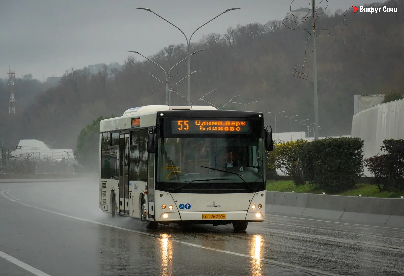 МАЗ 206 Сочи. Автобус МАЗ В Сочи. МАЗ 106. Сочинский автобус МАЗ.