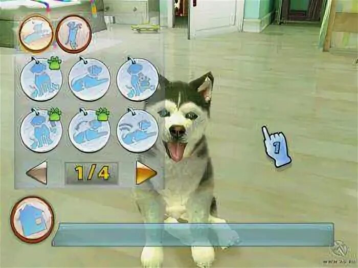 Игра Petz Sports. Игра Petz Dogz. Dogz Petz Sport. Pets Sport Dogs игра.