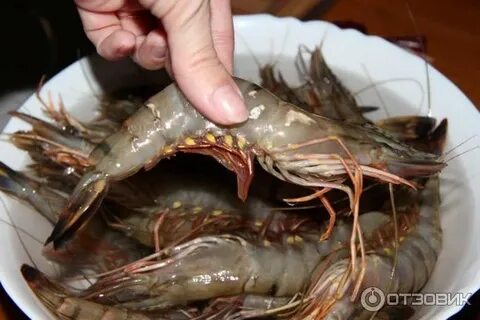 Королевские креветки сырые