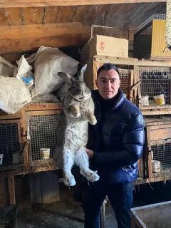 Воля барнаул