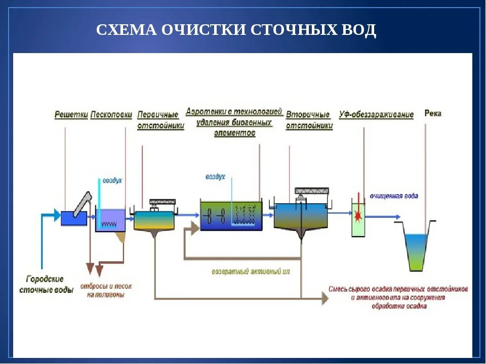 Технологическая схема биологической очистки сточных вод. Технологическая схема очистных сооружений сточных вод. Принципиальная схема биологической очистки сточных вод. Этапы биологической очистки сточных вод схема.