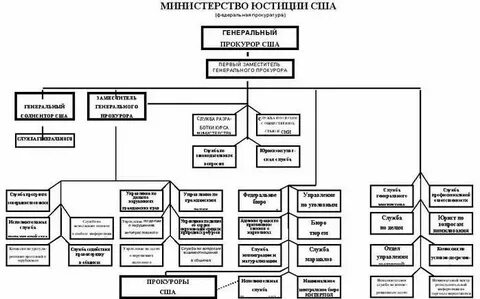 Взаимодействие полиции с органами государственной власти