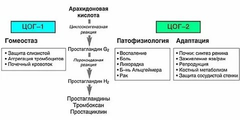 Гку цогу