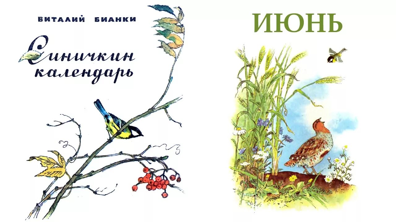 Синичкины рассказы бианки. Виталия бианки «синичкин календарь». синичка зинька бианки. сказка синичкин календарь бианки.