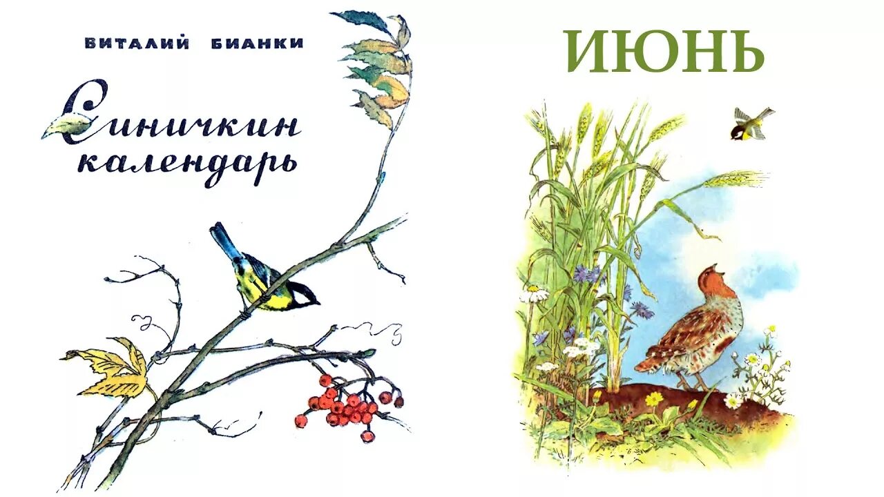 О произведении Синичкин календарь Виталия Бианки. Синичка Зинька Бианки. Сказка Синичкин календарь Бианки.