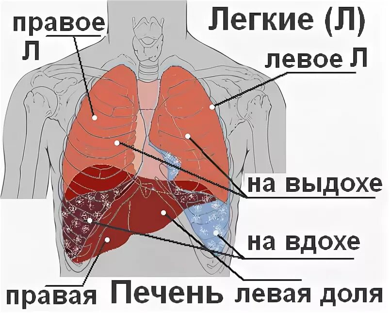 Почему левое больше правого