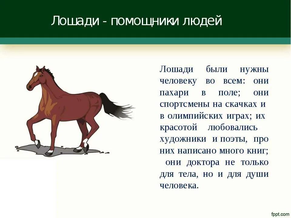 Значение слова животные
