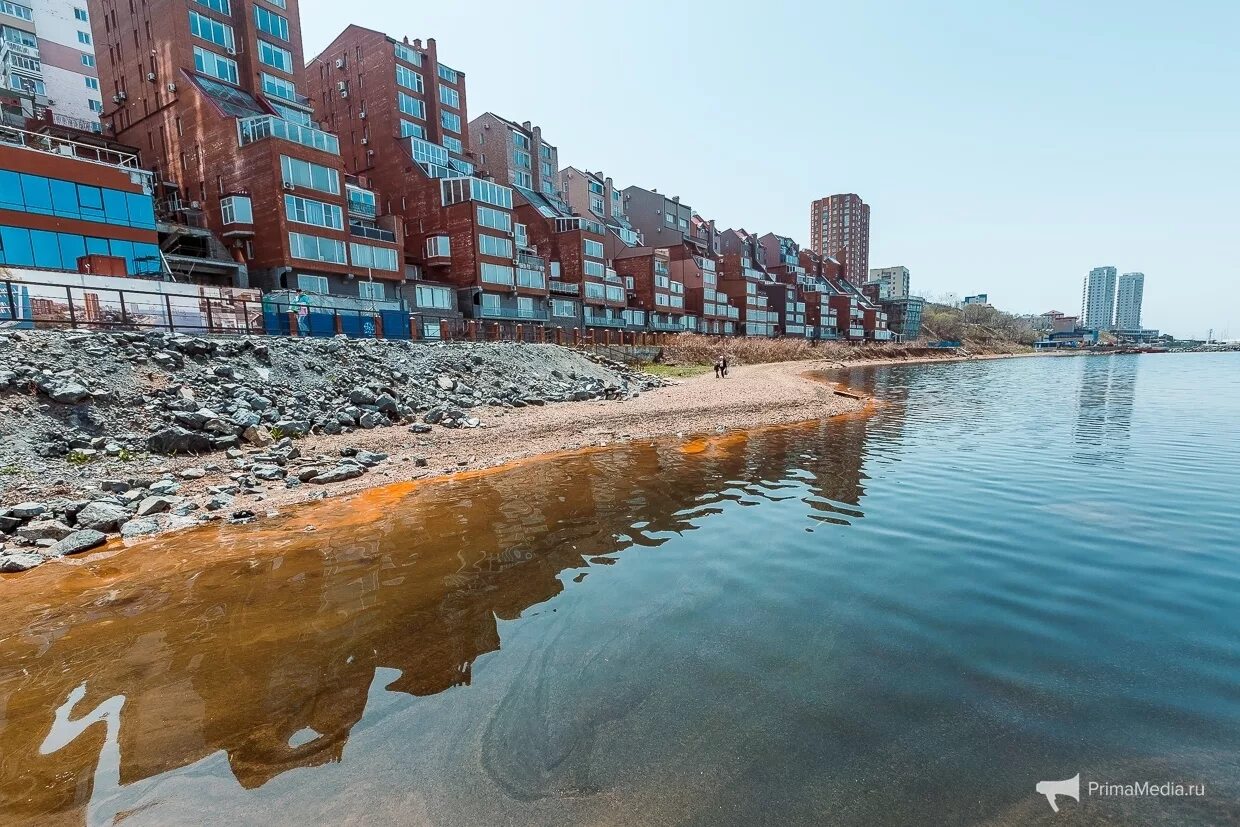 Владивосток моря и океаны. Океан владивосток. Тайфун владивосток. Японское море бухта безымянная. Бухта пластун приморского края.
