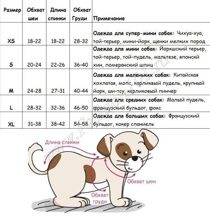 Как выбрать размер для собаки. Параметры щенка французского бульдога по месяцам таблица. размер одежды для собак таблица по породам французский бульдог. вес французского бульдога по месяцам таблица. вес французского бульдога в 2,5 мес норма.