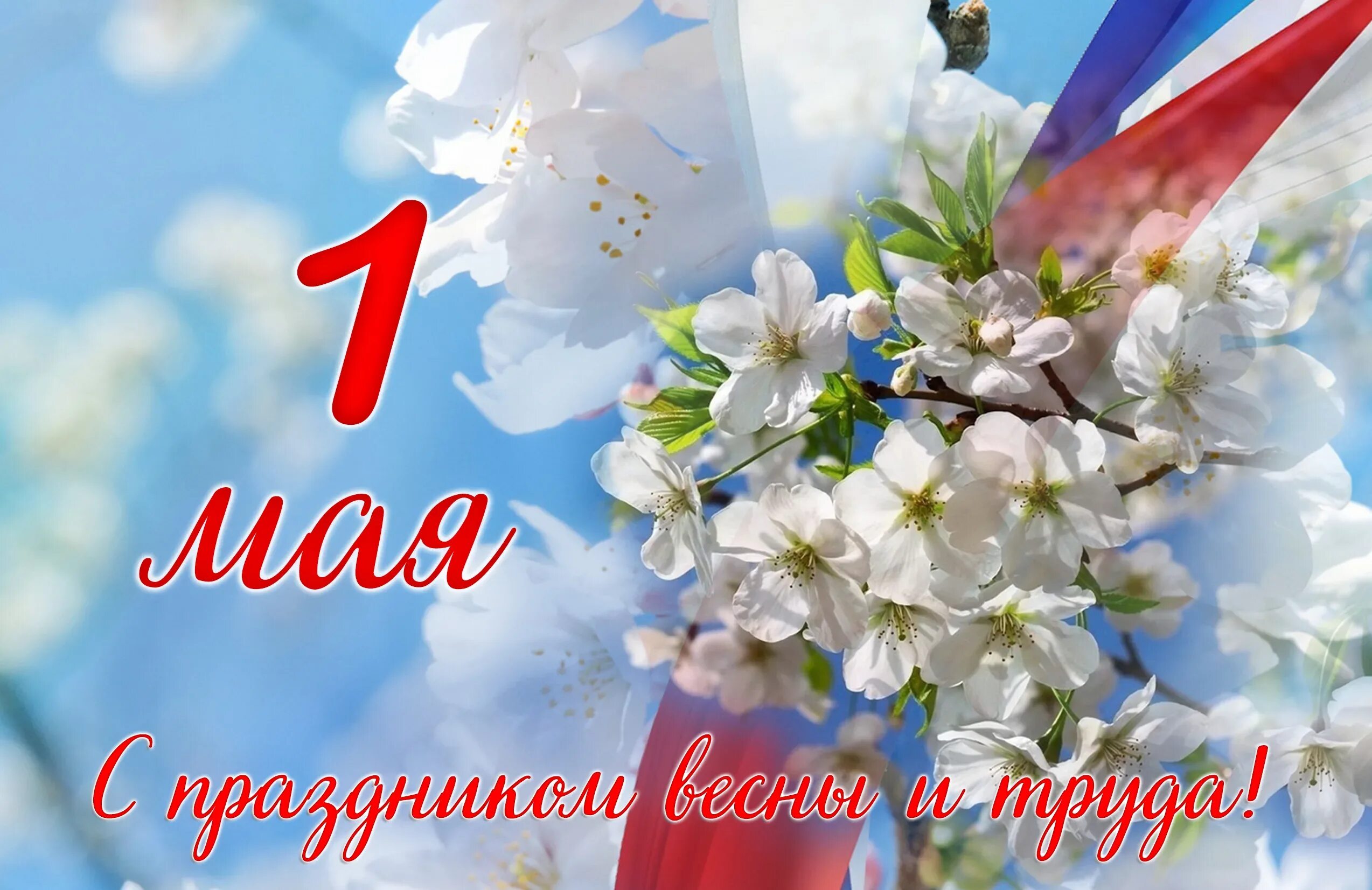 Среда 1 мая. 1 Мая. 1 Мая праздник весны и труда. Поздравление с 1 мая. 1 Мая праздник.