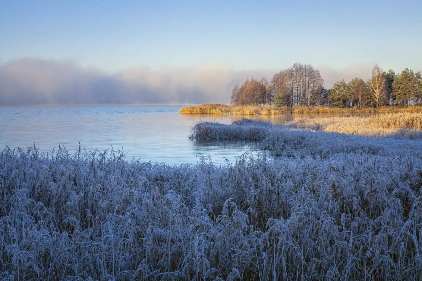 Весенние заморозки. Заморозки природа. Первые заморозки. Заморозки пейзаж.