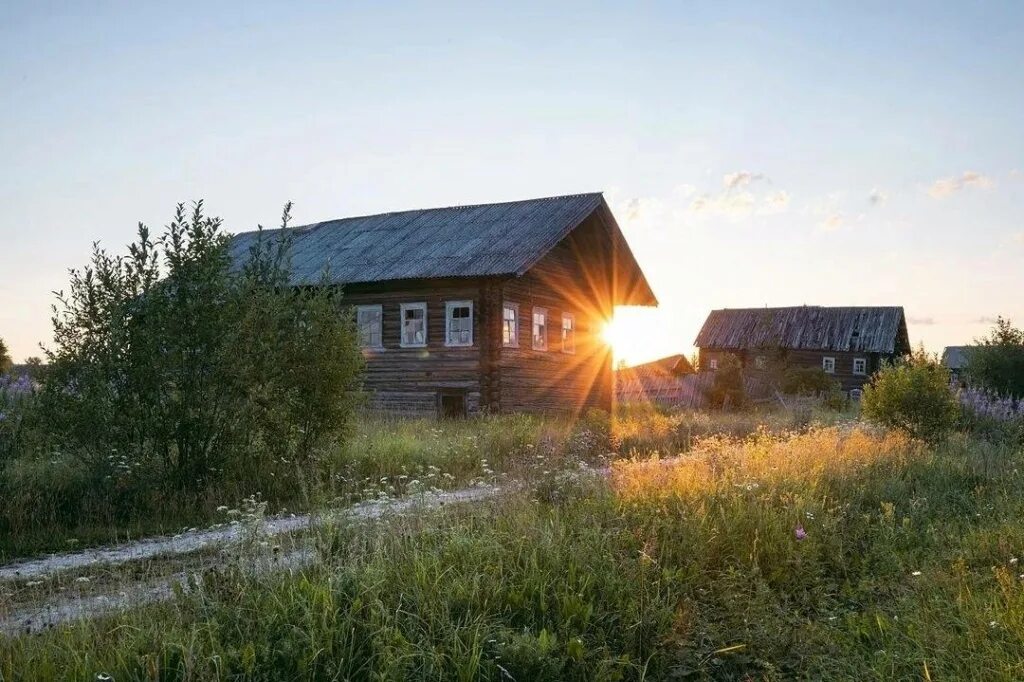 Архангельская область деревня большая. Большой бор георгиевская церковь. Архангельская область деревня большая. Деревня большой халуй. Большая нисогора архангельская область.