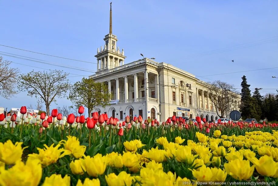 лето херсонес севастополь. цветов севастополь. тюльпаны севастополь приморский бульвар. цветов севастополь. маковые поля херсонес.