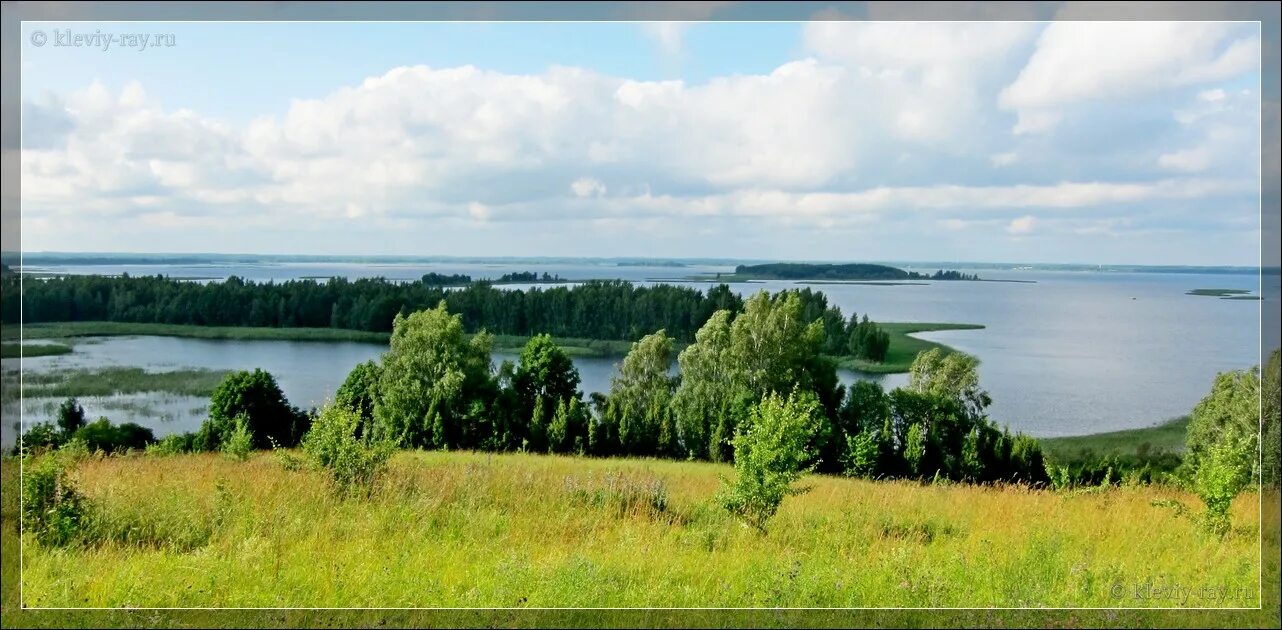 Браславские озера Белоруссия. Браславские озера рыбалка. Браславские озера Белоруссия на рыбалка. Рыба в Браславских Озерах. Озеры беларусь
