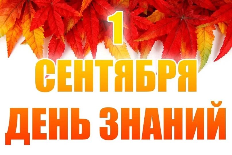 Внимание новый учебный год