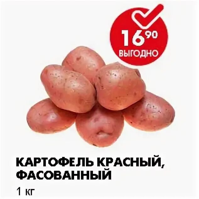 Магазин пятерочка картофель. Картофель фасованный пятерочка. картошка из пятерочки. картофель из пятерочки. картошка в пятерочке.