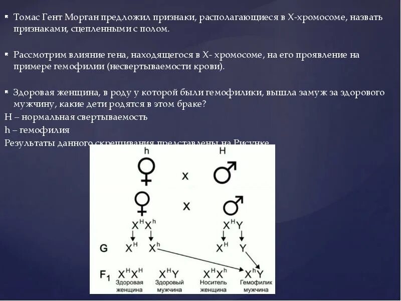 Сцепленное с у хромосомой наследование. Наследование признаков сцепленных с полом. Гены расположенные в х хромосоме. Парные гены расположенные в гомологичных