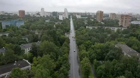 Новогиреево отзывы