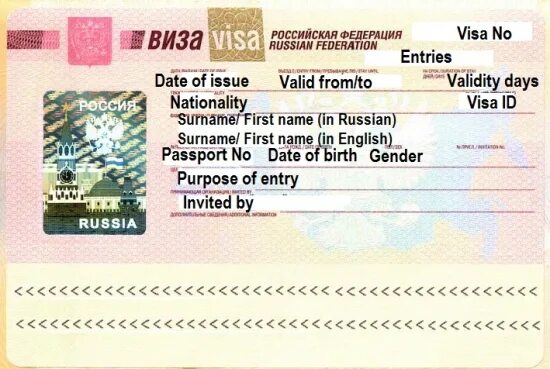 Российская виза. Виза РФ. Виза в Россию. Виза для иностранцев. Entry visa