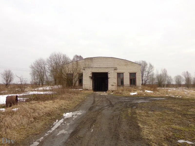 Погода в молодцово. Молодцово Кировский район. Молодцово Кировский район Ленинградской области. Поселок Молодцово. Заброшенный животноводческий комплекс.