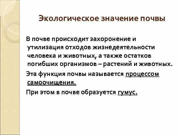 Экологическая роль почв. Экологическое значение почвы. Роль почвы в жизнедеятельности человека. Значение почвы. Почва и ее экологическое значение..