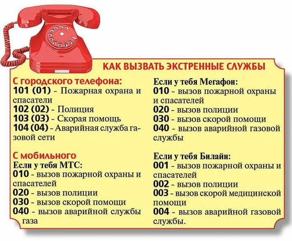 Как позвонить в московскую
