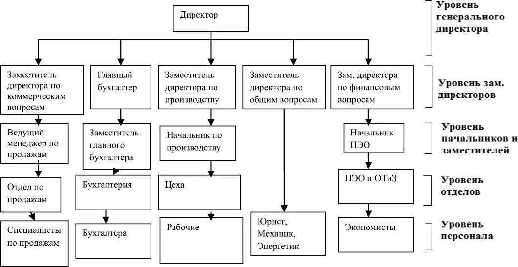 Коммерческий директор и финансовый директор. Зам директора по коммерческим вопросам. Структура заместителя директора по общим вопросам. Зам генерального директора по общим вопросам. Заместитель руководителя по общим вопросам.